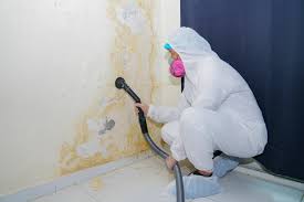 Best Residential Mold Inspection & Testing in Lake Ripley, WI